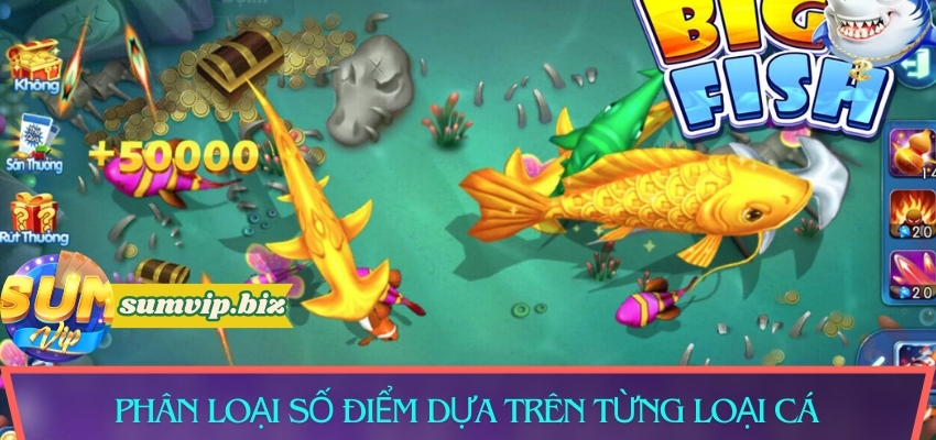 Phân loại số điểm dựa trên từng loại cá tại Sumvip
