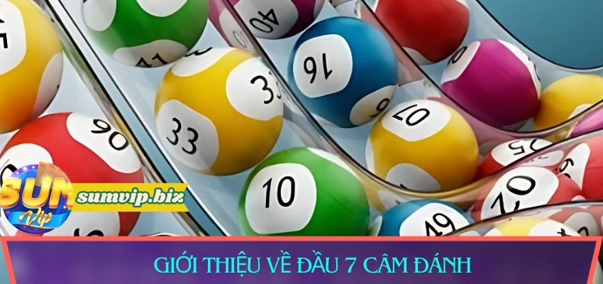 Giới thiệu về đầu 7 câm đánh lô