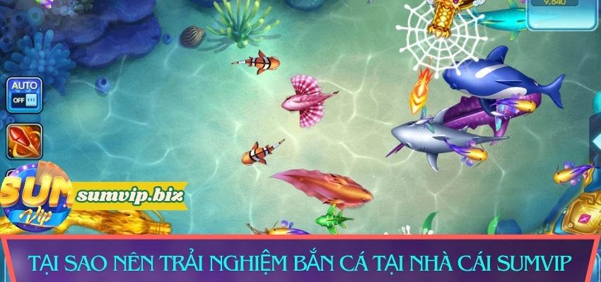 Tại sao nên trải nghiệm bắn cá tại nhà cái Sumvip?